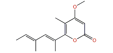 Cyercene 4